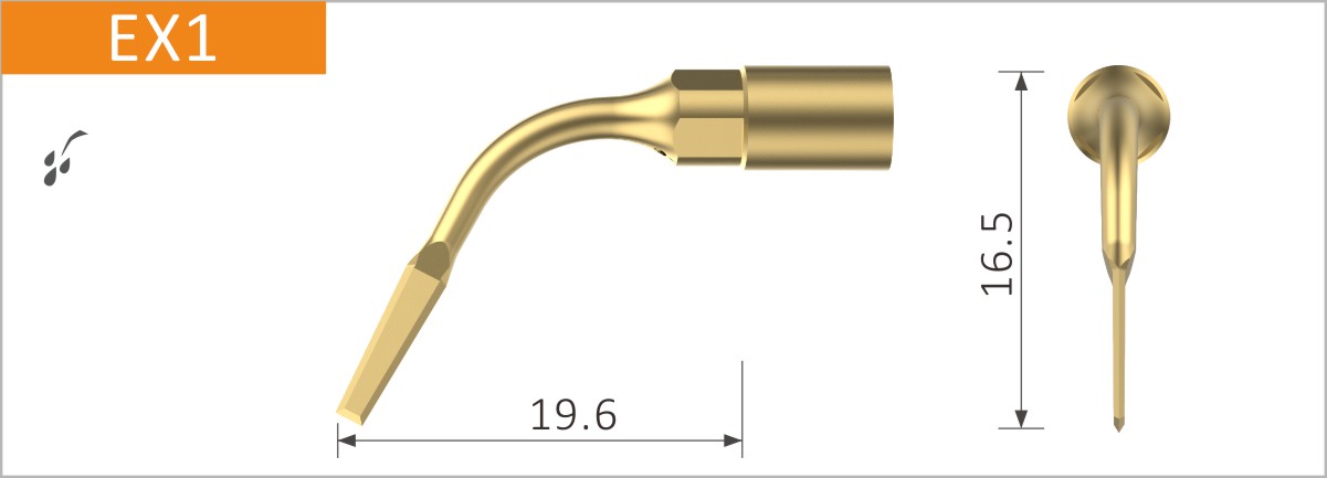 EX1
