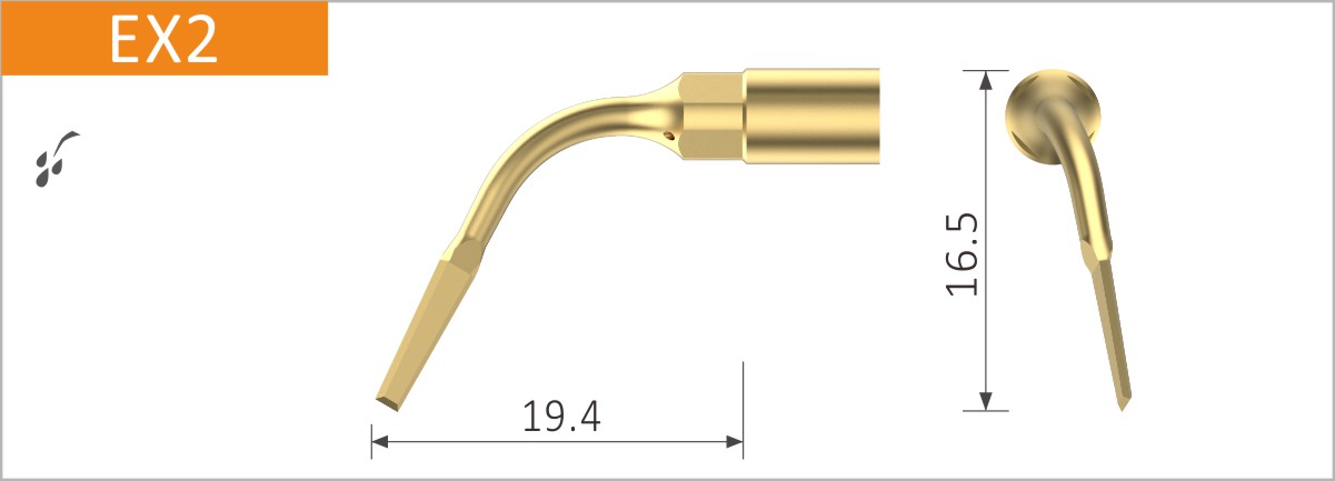 EX2